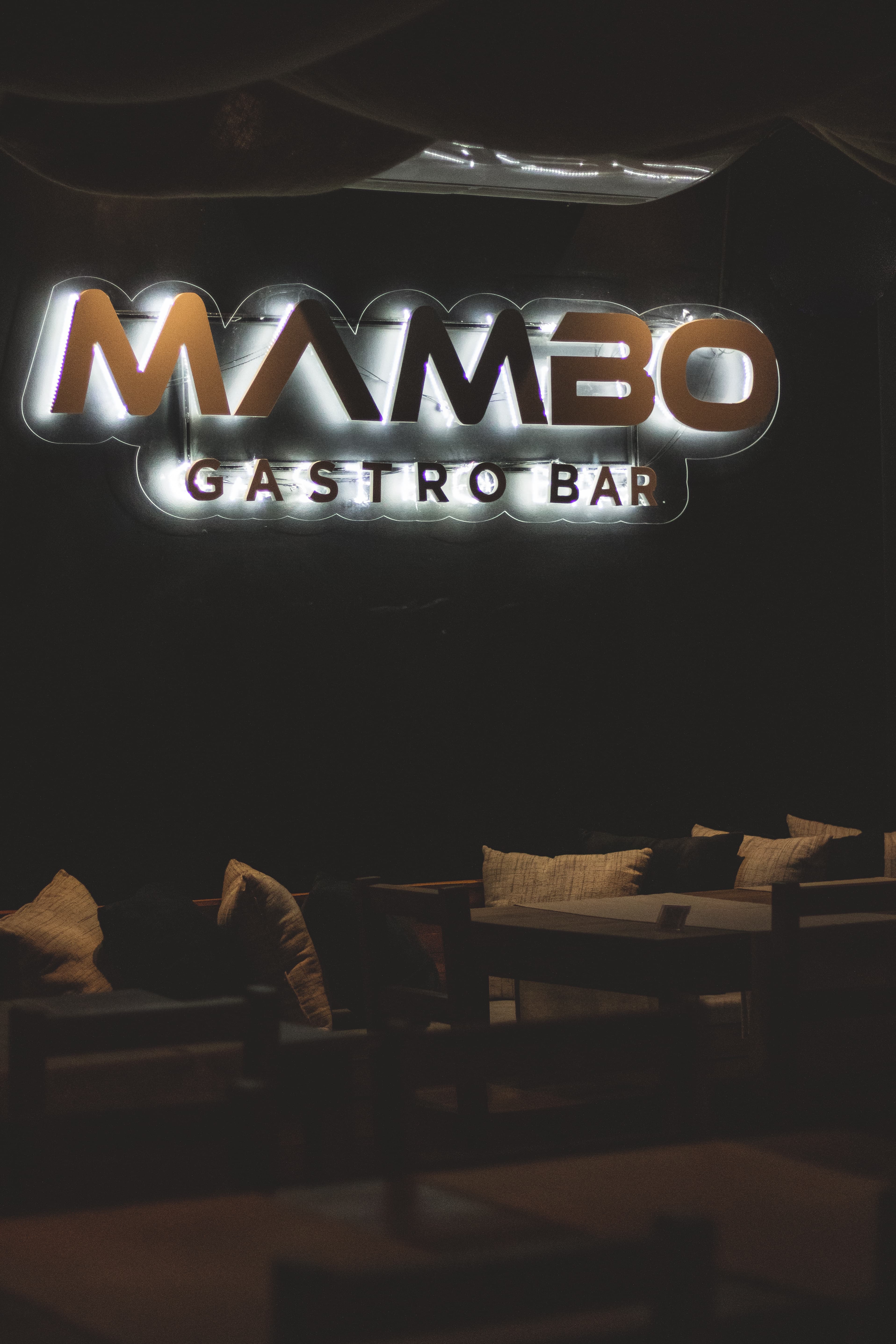 Imagem da Galeria 4